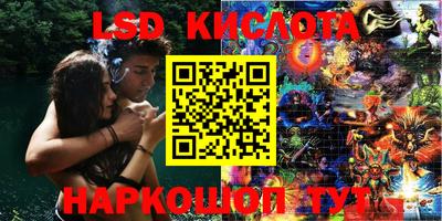 гидра Краснознаменск