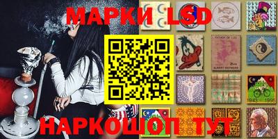 гидра Краснознаменск