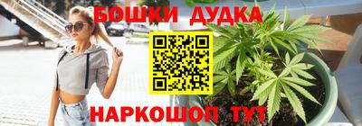гидра Краснознаменск