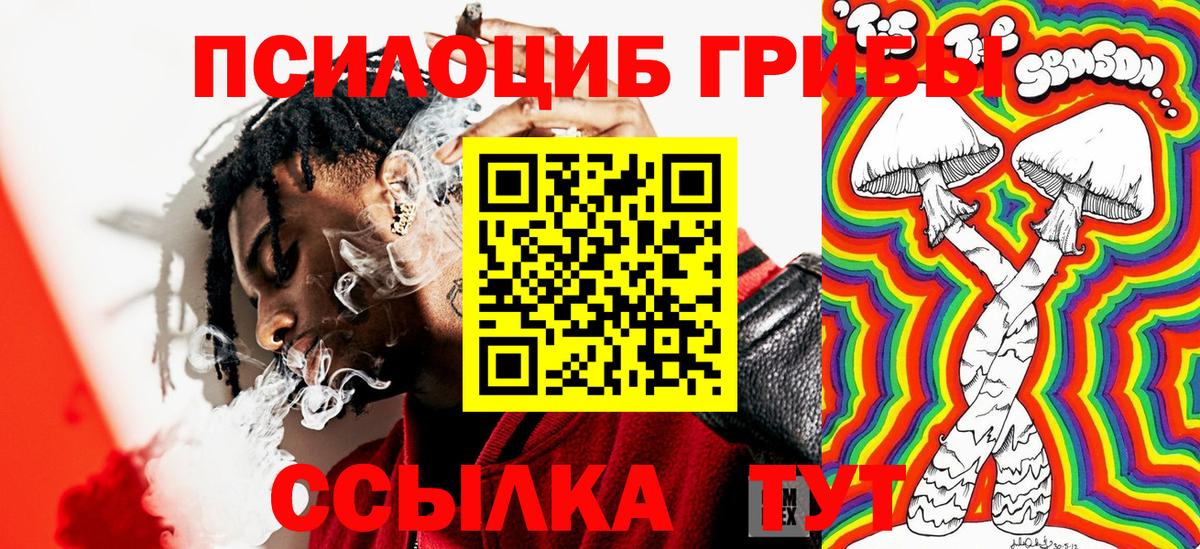 Псилоцибиновые грибы прущие грибы  Псилоцибиновые грибы мухоморы  Вход с VPN  Донской 